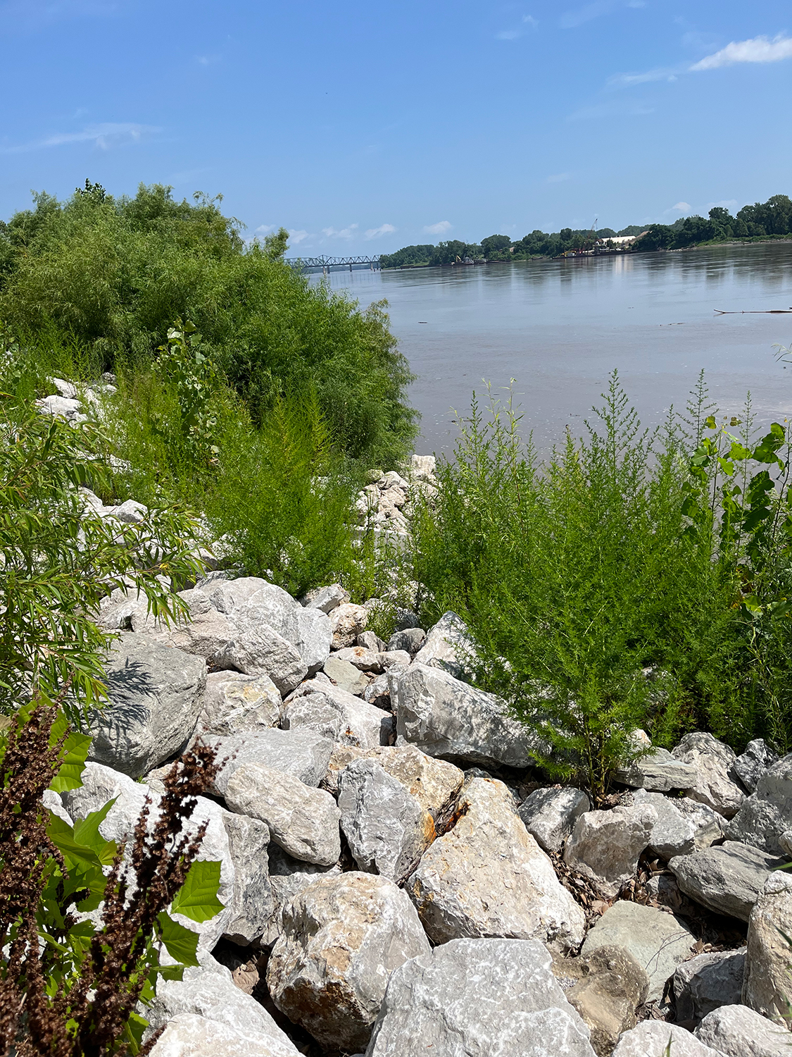 Frontier flood recovery